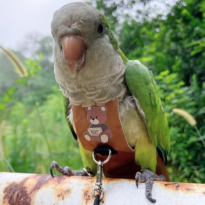 Bird Diaper Harness Flight Suit Clothes, Parrot Flight Suit with Leash for Parrot, Bird Flying Clothes with Rope and Handle for Outdoor Activities Training (Hahn's Macaw,Without Leash)
