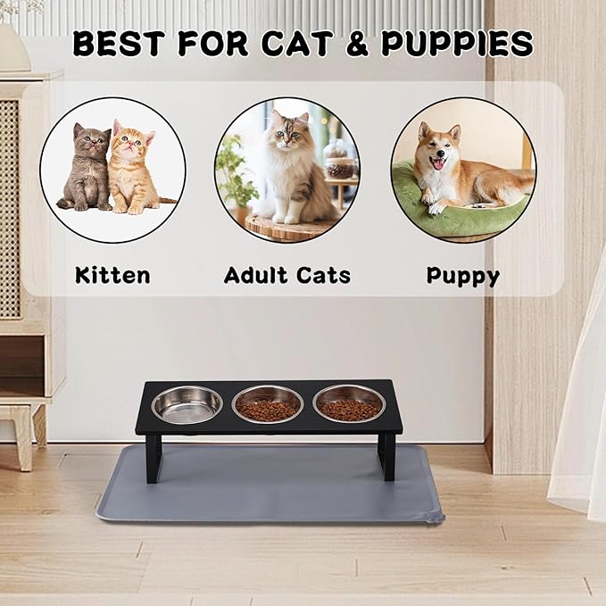 Upgraded Elevated Cat Bowls with Food Mat,15°Tilted Stand Anti Vomiting Raised Cat Dishes for Food and Water,3 Stainless Steel Bowls for Cats and Puppy（Black）