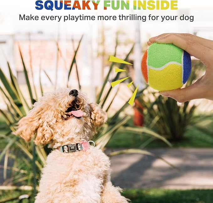 AMA SPORT Squeaky Balls for Dogs 2.5" Small Medium Dog Tennis Balls for Throwing and Fetching Dog Toys for Training, Exercise, High Bouncing 12 Pack Multicolor