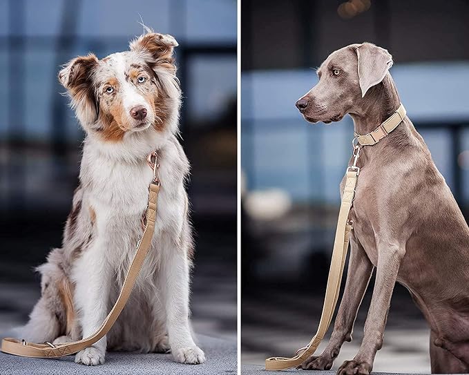 Soft Leather Dog Collar and Leash (6.6') Set - Stylish Rose Gold Heavy Duty Metal Buckle, 4 Adjustable Lengths Leash for Small Medium Large Dogs - Comfortable & Easy to Clean Beige L(15.4"-24.8")