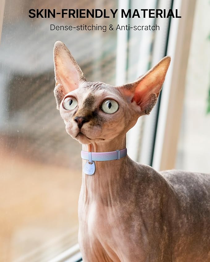 Cat Collar with QR Code Name Tag, Breakaway Kitten Collar for Boy & Girl Cats, Ultra Soft Elastic Adjustable Band, Safety Break Away Buckle, Comfortable & Secure Pet ID Collar (6"-12"), Iridescent
