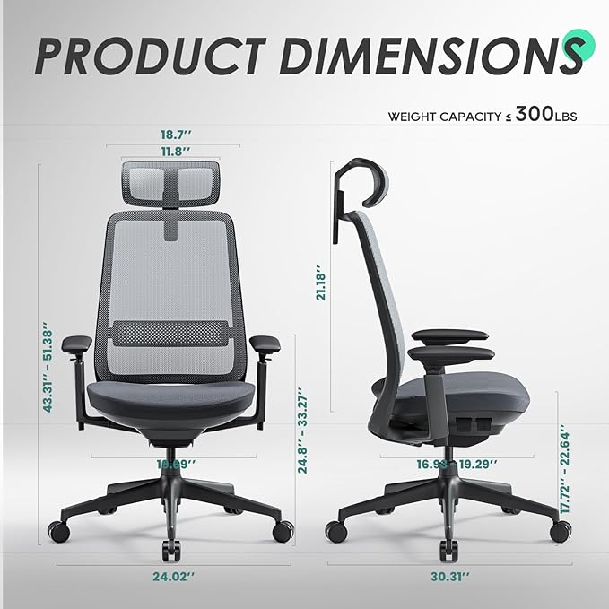 COLAMY Ergonomic Office Chair, High Back Computer Executive Desk Chair with Lumbar Support, Adjustable Headrest and 4D Arms, Slide Seat-BlackGrey