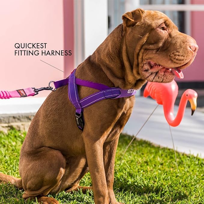 EzyDog Quick Fit Dog Harness, Soft Neoprene Padding - Large, Red | Fast One-Click Buckle, Adjustable Fit, Strong Reinforced Materials, Reflective Stitching, No Pull Dog Harness, Easy Walking