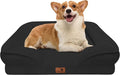 Spotted Play Orthopedic Dog Bed with Sides - Sofa Beds for Medium Dogs, Supportive Foam Pet Couch Bed with Washable Removable Cover, Waterproof Lining and Non-Slip Bottom, Black - M
