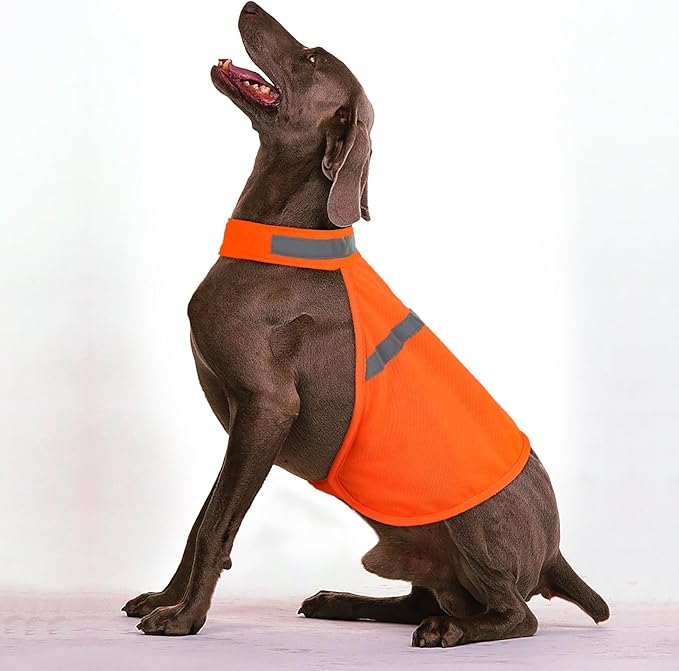 Dog Jacket High Visibility Safety Reflective Dog Vest for Small Medium Large Dogs (Small, Orange)