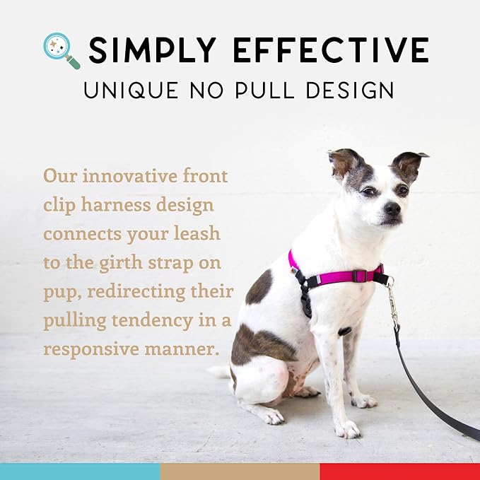 No Pull Dog Harness | Comfortable Training Harnesses | Effective No Pull Harness Design | Ideal for Medium Sized Dog | 4-Point Adjustable(M - 22~28 inch Girth, Fuchsia)