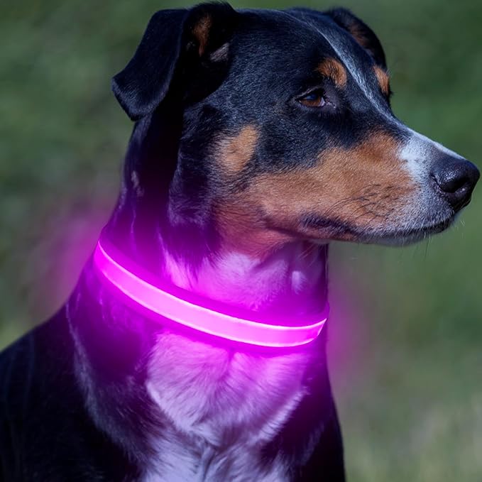 VIZPET LED Dog Collar, Light Up Dog Collar Adjustable USB Rechargeable Super Bright Safety Light Glowing Collars for Dogs (Purple, Medium[14.96-19.68 inch/38-50cm])