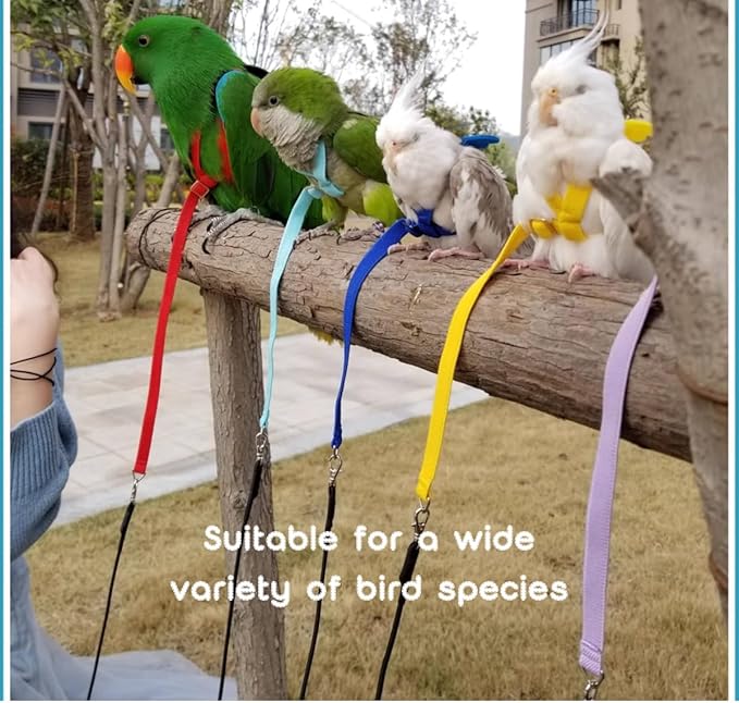 Adjustable Bird Harness with Elastic Leash, Pet Parrot Harness and Leash, Adjustable Training Design Anti-Bite, Bird Nylon Rope with Cute Wing for Conure (Light Blue,S)