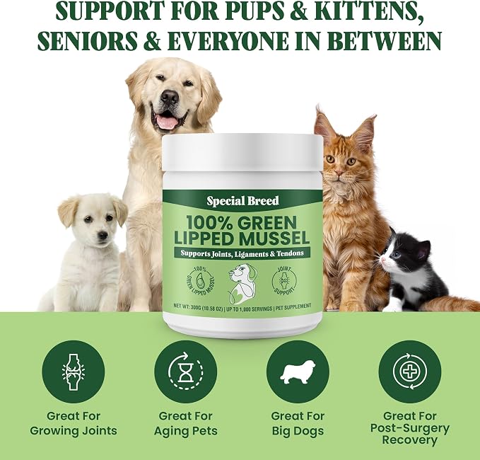 Green Lipped Mussel Powder for Dogs & Cats - 100% New Zealand Green Lipped Mussels - Natural Hip & Joint Supplement for Joints, Tendons, Ligaments, Muscles - 300 Grams - Up to 1,000 Servings