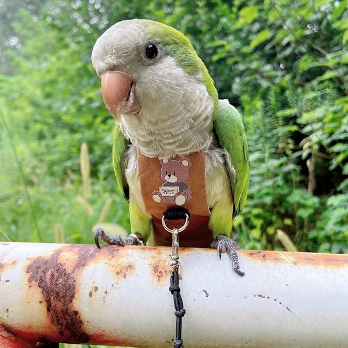 Bird Diaper Harness Flight Suit Clothes, Parrot Flight Suit with Leash for Parrot, Bird Flying Clothes with Rope and Handle for Outdoor Activities Training (Hahn's Macaw,with Leash)