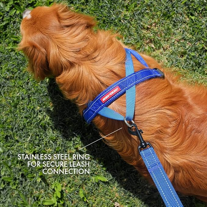 EzyDog Quick Fit Dog Harness, Soft Neoprene Padding - Large, Red | Fast One-Click Buckle, Adjustable Fit, Strong Reinforced Materials, Reflective Stitching, No Pull Dog Harness, Easy Walking