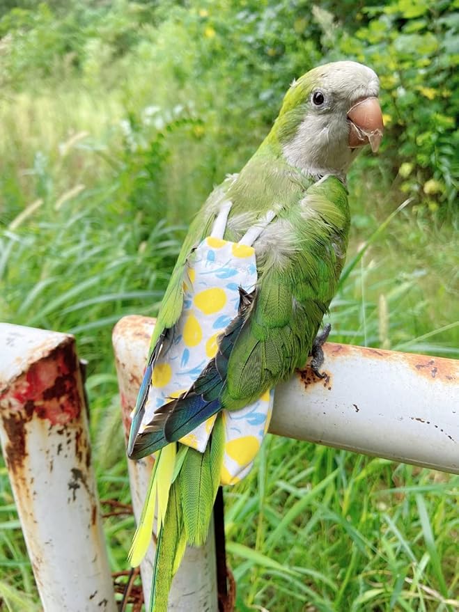 Bird Diaper Harness Flight Suit Clothes, Parrot Flight Suit with Leash, Bird Flying Clothes with Rope and Handle for Outdoor Activities Training (Yellow Without Leash,Small)