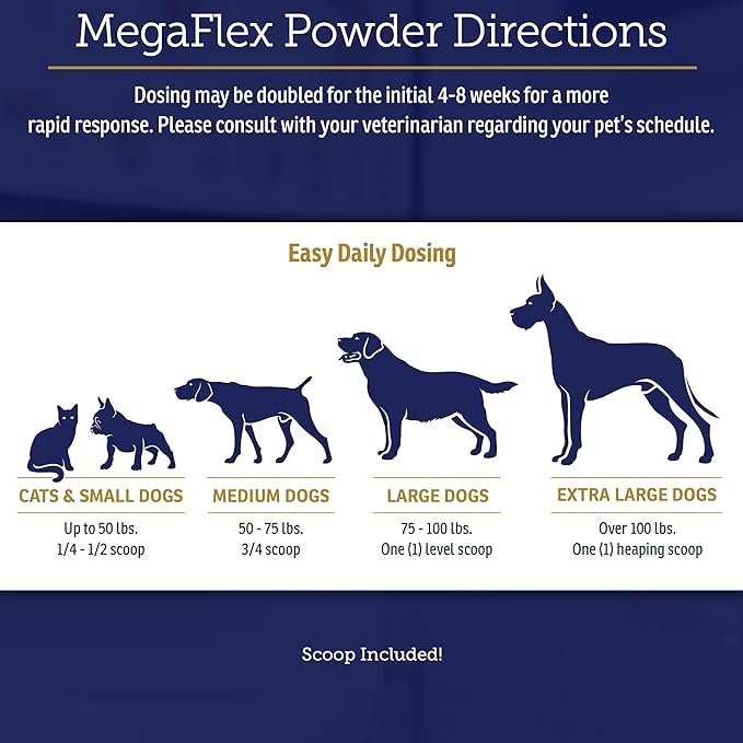 Rx Vitamins MegaFlex - Glucosamine Sulfate with MSM - Cat & Dog Hip and Joint Supplement - Contains Vitamin C and Sea Cucumber - Supports Joint Health and Flexibility - 600g