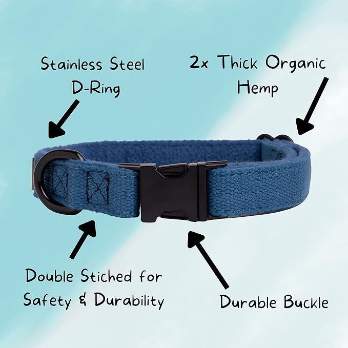 Pawsitive Teal Dog Collar Hemp Dog Collar - Super Soft Hypoallergenic Lining. Great for Small, Medium and Large Dogs; Medium Emerald Green