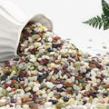 NUPICK 12 lbs Pebbles for Indoor Plants, 3/8 Inch Pea Gravel for Fish Tank, Polished Decorative Rocks for Succulent, Natural River Stones for Vases, Cactus, Landscaping, Bird Bath, Aquarium, Colorful
