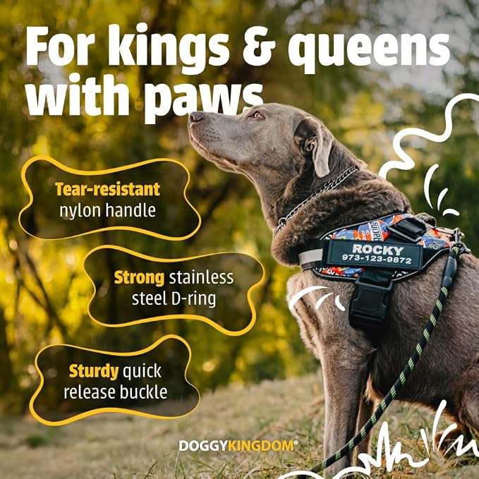 Personalized Dog Harness with Custom Name Patches, Adjustable Reflective No Choke Dog Vest with Handle for Small Sized Dog, US Flag, S