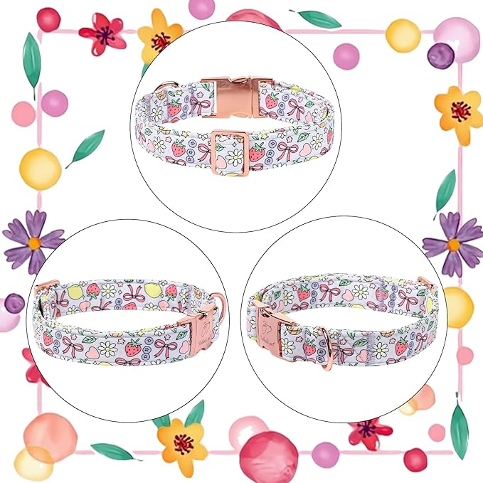 Cute Dog Collar, Spring Summer Pastel Dog Collars, Fruit Garden Dream Puppy Collar, Adjustable Heavy Duty Pet Collar for Small Medium Large Dogs with Metal Buckle M
