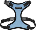 Voyager Step-in Pet Harness - All Weather Mesh, Adjustable Step in Harness for Cats and Dogs by Best Pet Supplies - Baby Blue/Black Trim, XL