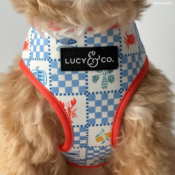 Lucy & Co. Sunny in Sicily Reversible Dog Harness, Adjustable Comfort Fit with Dual Leash Attachments, Large