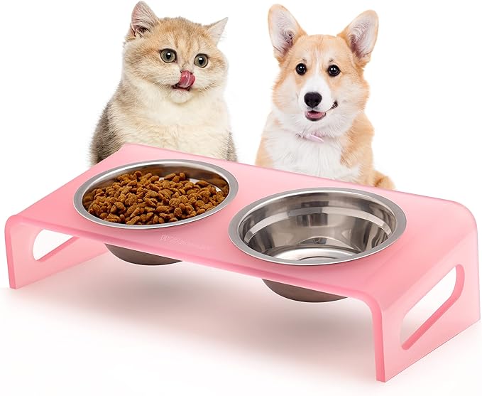Tilted Raised Elevated Food and Water Bowls Stand for Cat or Small Dogs - Puppy's Clear Acrylic Stainless Steel Dishes Holder for Boy or Girl Pet,Modern,Durable and Easy to Clean by WBhonghui (Pink)