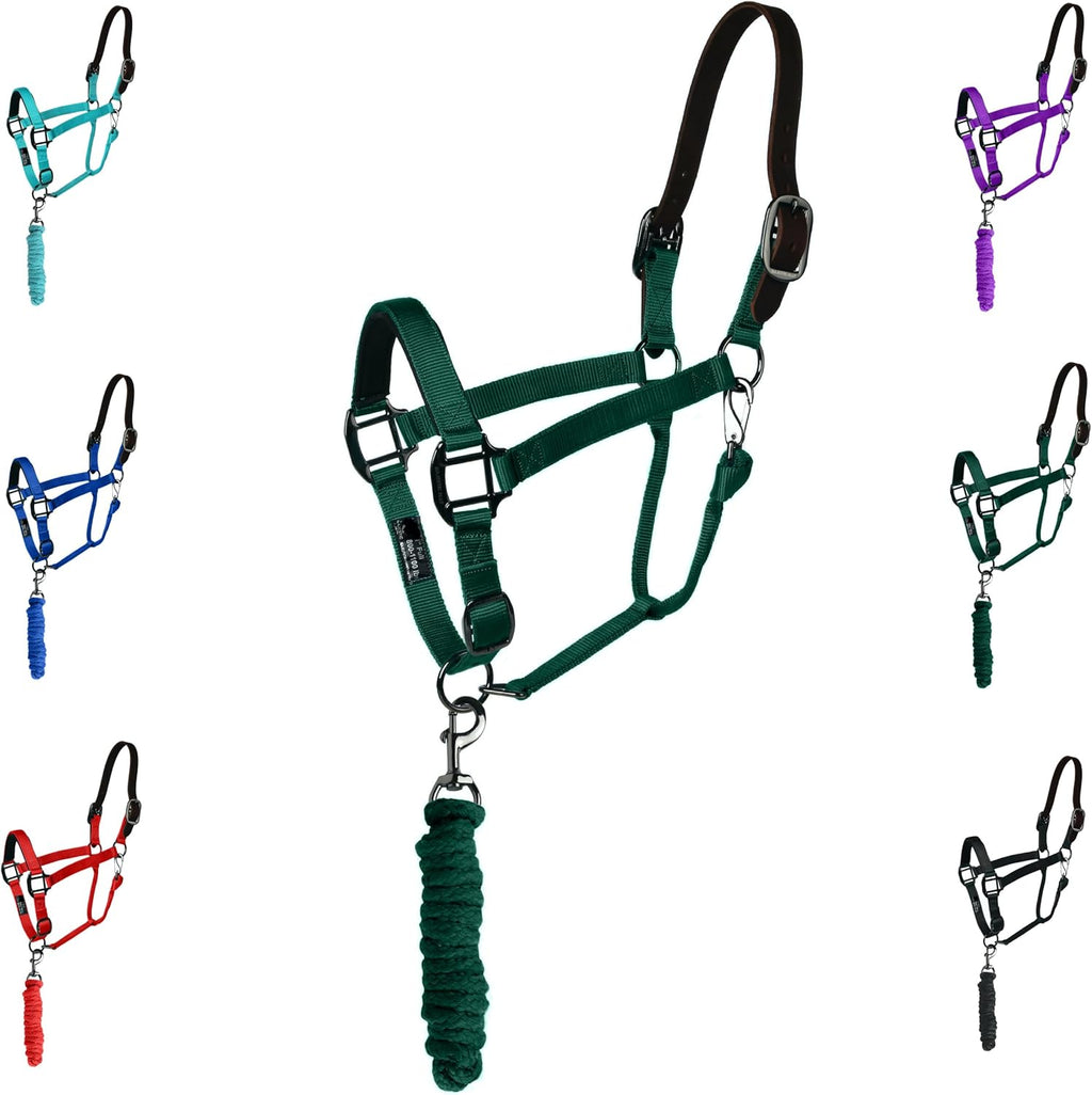 Majestic Ally Leather Halter with Matching Lead Rope for Horses – Leather Breakaway Crown - Adjustable Chin Strap – Rolled Throat Latch – Padded Noseband – Full (Hunter Green, Full)