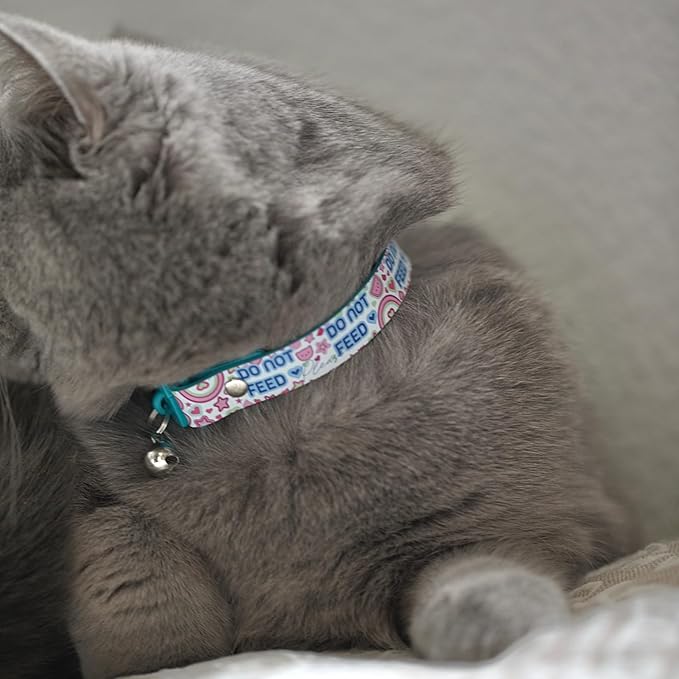 New Kittyrama No Feed Cat Collar with Bell. Breakaway, Quick Release, Hypoallergenic, Vet Approved. Lightweight Kitten Collar. As Seen in Vogue. Soft & Comfy. Pearl