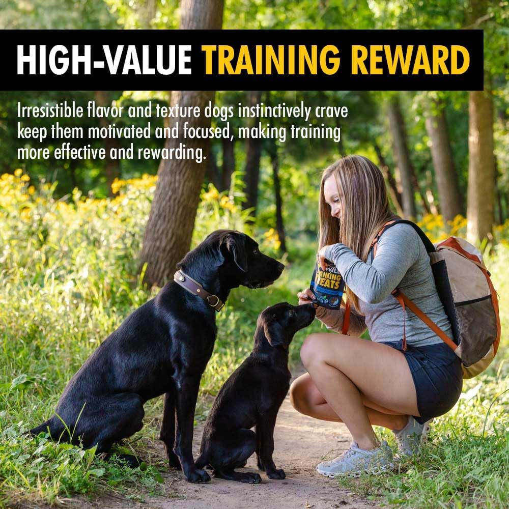 High Country Wild Blueberry Elk & Venison Dog Training Treats - Natural Grain-Free Puppy & Dog Snacks - Protein Treat for Training, Reward - No Fillers, No Artificial Preservatives, 4oz 1 Bag