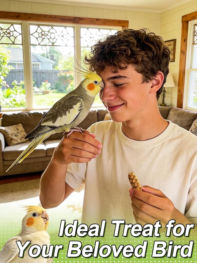 MEWTOGO Spray Millet & Cuttlebone Bird Treats Set - 2lb Hand Selected Golden Millet Treats for Parakeets Cockatiel Lovebirds Canaries Finches, Energy & Calcium Boost
