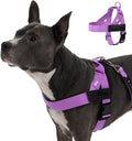 Dog Friendly Co. Dog Harness for Small Dogs (Purple, XXSmall) | One Click Buckle, Chafe Resistant Webbing, Adjustable Neck & Chest, and Heavy Duty D-Ring, Sturdy Comfortable and Easy to Use