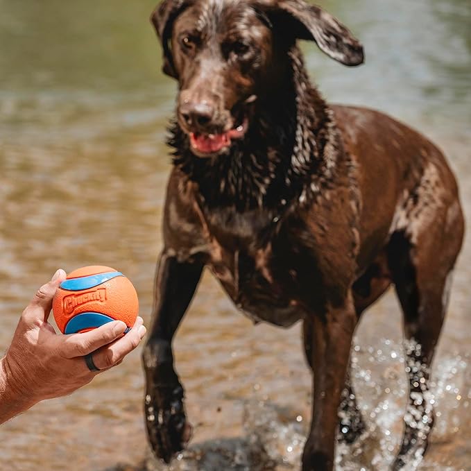 Chuckit! Ultra Ball Dog Toy - Size XXL - For Dogs 100+ lbs - Made from Durable Rubber - Super Bouncy - Floats in Water - 4-inch Diameter - Pack of 1