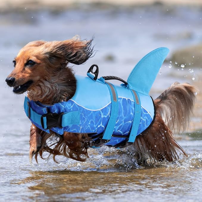 Shark Dog Life Jacket, Dog Life Vest for Swimming, High Buoyant Doggie Swimming Vest, Adjustable Easy On Pet Swim Jackets for Small, Medium, Large Breeds (Blue,M)