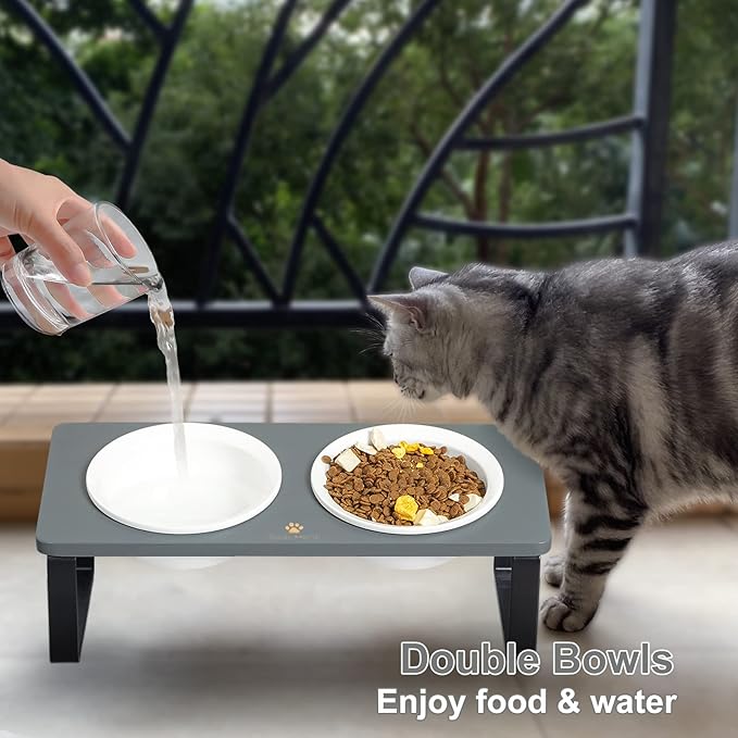 Sunhoo Ceramic Elevated Cat Bowls Raised Puppy Dishes for Food and Water Tilted Wooden Stand for Indoor Cats 5.5 inch Wide Double Dish Orthopedic Reduces Vomiting (Grey)