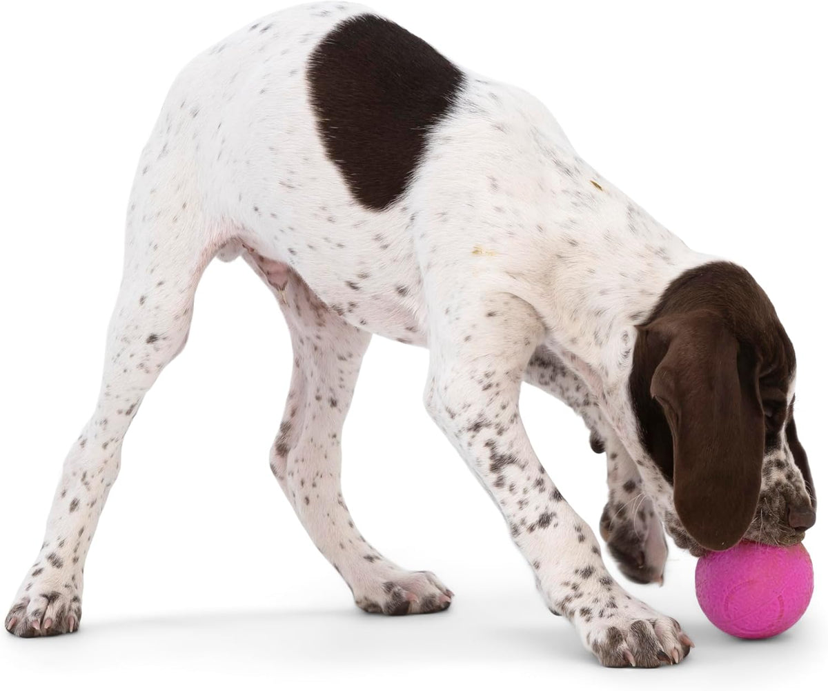 WEST PAW Boundr Ball Dog Fetch Toy – Bouncing Toys for Dogs, Fetch, Catch, Chewing, Play – Floatable, Recyclable Balls – Small Hot Pink/Aqua Blue 2-Pack