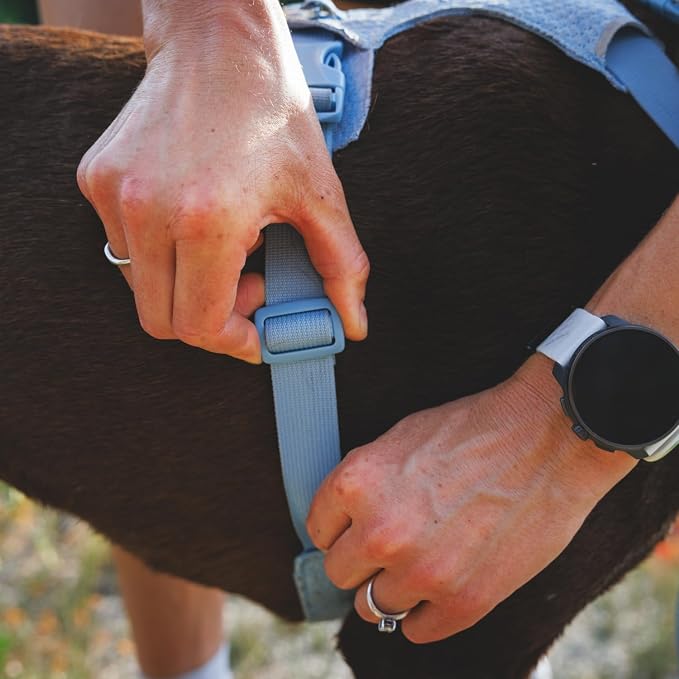Ruffwear, Front Range Flex Dog Harness, Engineered Knit Construction for Ultimate Fit and Mobility, Lightweight Flexible Everyday Harness with Dual Leash Clips, Basalt Gray, Large/X-Large