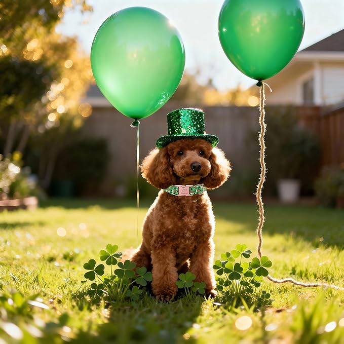 St. Patrick's Day Dog Collar, Beer & Clover Green Dog Collars, Adjustable Heavy Duty Irish Shamrock Pet Collar for Small Medium Large Dogs with Metal Buckle XL
