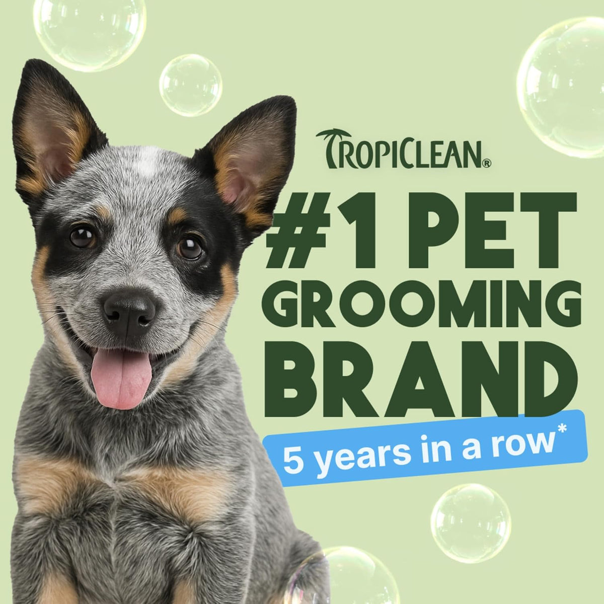 TropiClean Gentle Puppy Shampoo, Dog Shampoo for Allergies & Sensitive Skin, Made in USA, Gentle Coconut Scent, Safe for Cats & Kittens, 20oz