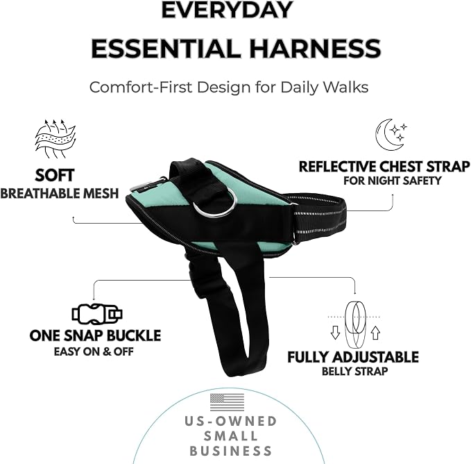ShawnCo Essential Dog Harness, No-Pull Pet Vest (Seafoam,XS) | 3 Leash Clips, Easy On, No-Choke, Reflective, Adjustable Fit, Padded Comfort, Control Handle, For Small, Medium & Large Dogs