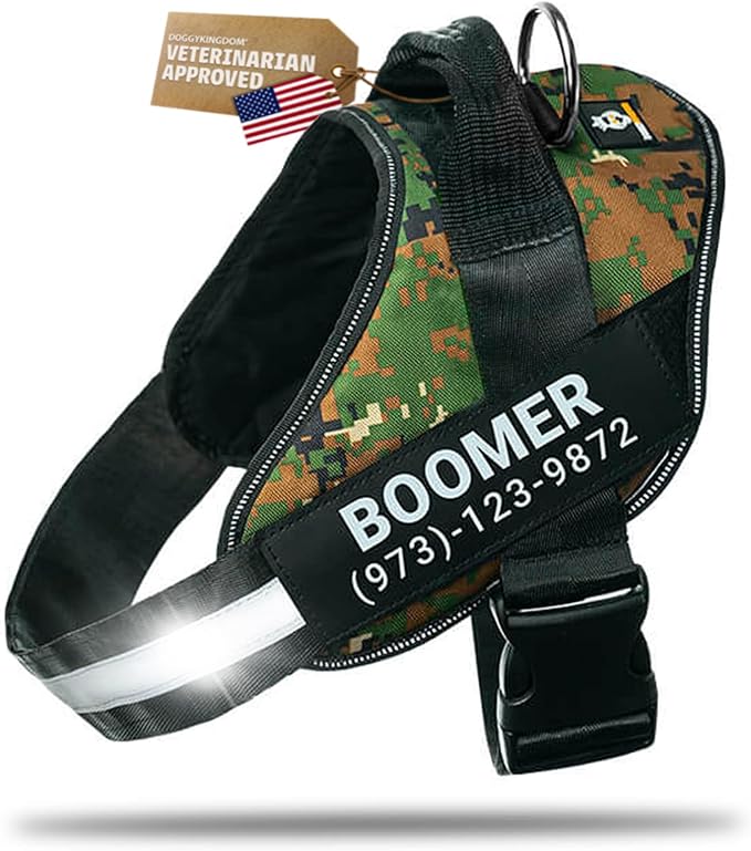 Personalized Dog Harness with Custom Name Patches, Adjustable Reflective No Choke Dog Vest with Handle for XXL Dog, Military Green, 2XL