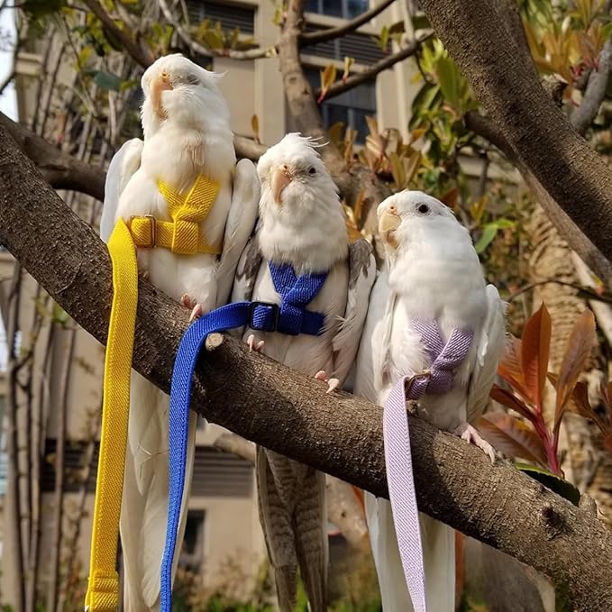 Adjustable Bird Harness with Elastic Leash, Pet Parrot Harness and Leash, Adjustable Training Design Anti-Bite, Bird Nylon Rope with Cute Wing for Conure (Red,XL)