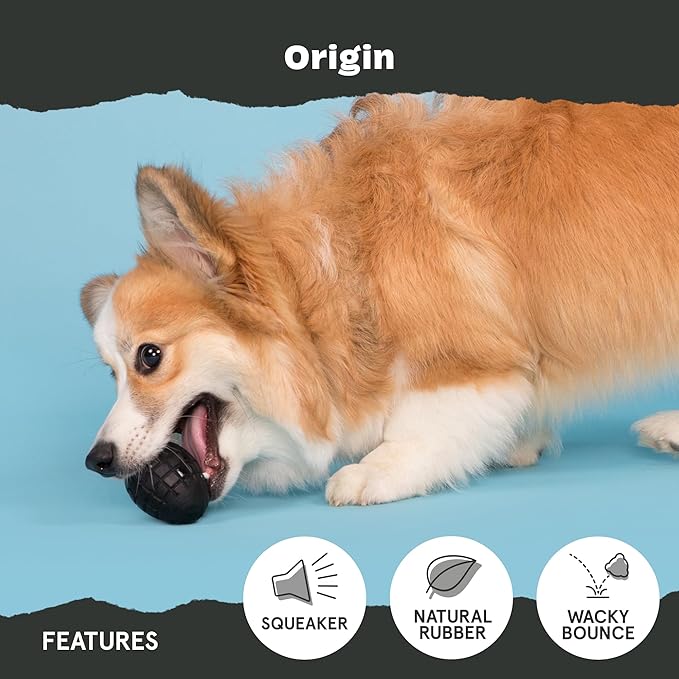 Barkbox Super Chewer Tough Dog Chew Toys for Aggressive Chewers, Treat Dispensing (Origin - Small)