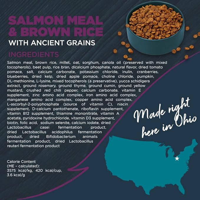 Blackwood Sensitive Skin & Stomach Dry Dog Food, Salmon Meal & Brown Rice with Ancient Grains, 10 Pound Bag with Prebiotics & Probiotics to Promote Gut Health