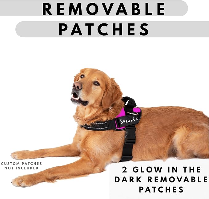 ShawnCo Essential Pro Dog Harness, No-Pull Pet Vest with Removable, Reflective Side Patches, Adjustable and Padded Harness for Small, Medium and Large Dogs (ICY Lilac, XS)
