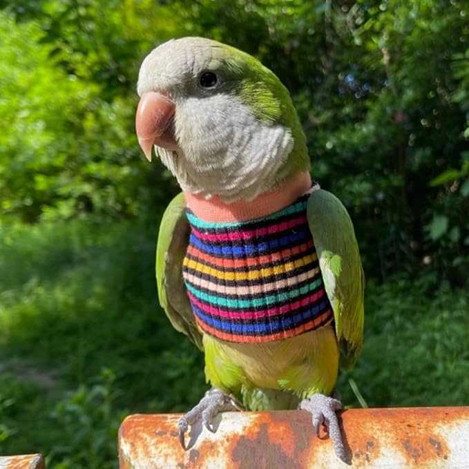 Bird Clothes - Handmade Cotton Stripe Shirt Round Collar Sweater Flight Suit for Parrots African Greys Parakeet Cockatiel Sun Conure Christmas Halloween (with Diaper,XS)