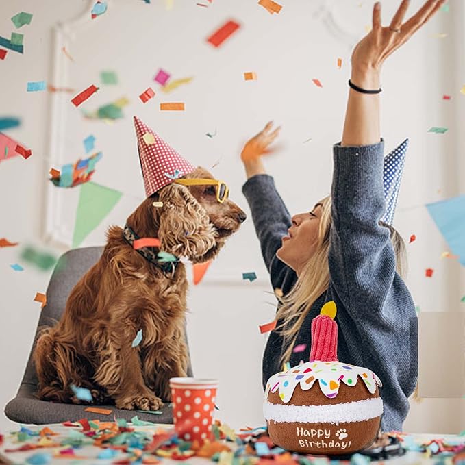 Dog Birthday Toy, Birthday Cake Toys for Puppy Gifts, Squeaky Plush Dog Toys