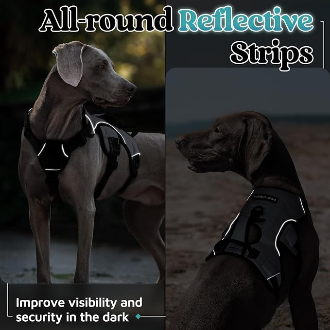 rabbitgoo Escape Proof Dog Harness for Medium, No Pull with Lift Handle | No Escape, Full Soft Padded, Reflective Adjustable Vest, Leash Clip for Walking Hiking Training, Grey, Medium