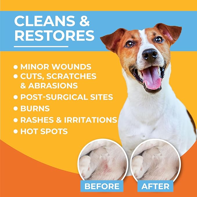 Skin & Wound Care Spray for Dogs & Cats – Lick-Safe Antiseptic Healing Aid, Itch Relief & Skin Repair Treatment for Hot Spots, Rashes, Cuts, Burns, & Irritation