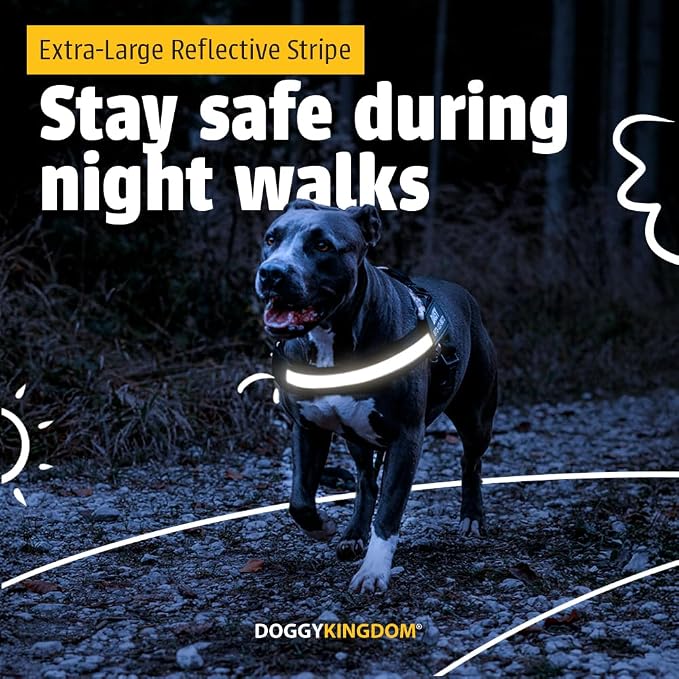 Personalized Dog Harness with Custom Name Patches, Adjustable Reflective No Choke Dog Vest with Handle for Small Dogs and Growing Puppy, Orange, XS