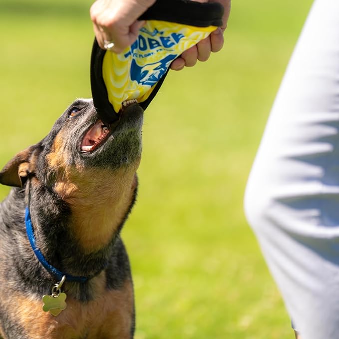 ZooBee Flying Disc Dog Toy – Dog Vision Friendly Colors – Soft & Durable Frisbee for Outdoor Play, Water Fetch & Pool Fun – Safe on Teeth – Floating Dog Toy – Lightweight & Easy to Throw