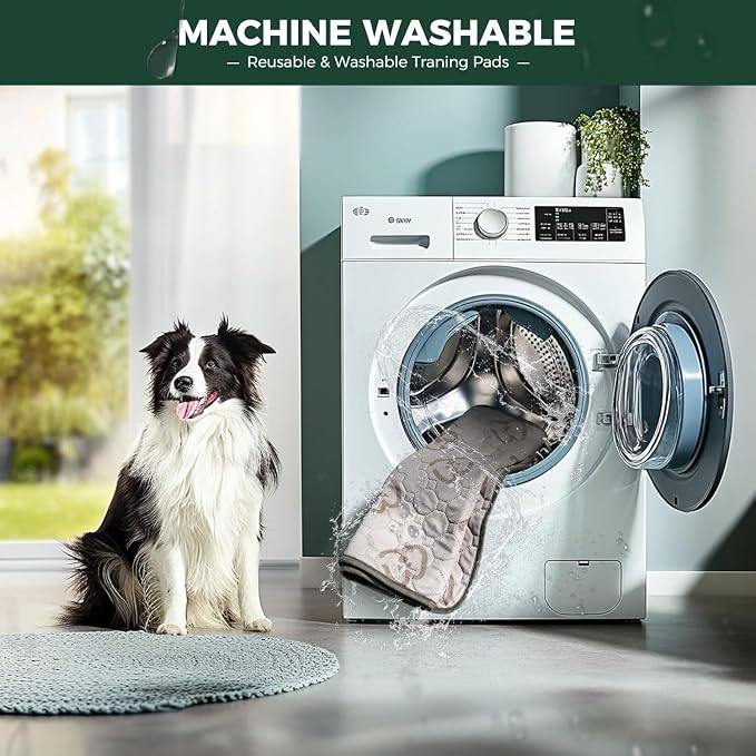 FXW Washable Pee Pads for Dogs, Super Absorbent, 34" Octagon, 1 Pack | Machine washable, Non-slip backing, Fits 32"/40"/45"H 8-Panel FXW Rollick/Homeplus Playpens
