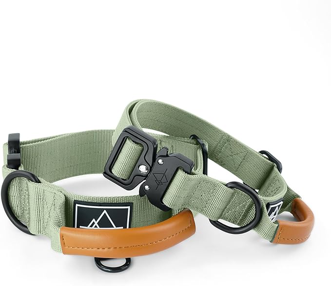 Made to ROAM Premium Explorer Control Collar - Adjustable Heavy Duty Nylon Dog Collar with Quick-Release Metal Buckle and Handle (Washington Rain, Control Size 4)